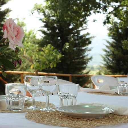 Agriturismo La Colombaia Villa Vicchio Eksteriør billede