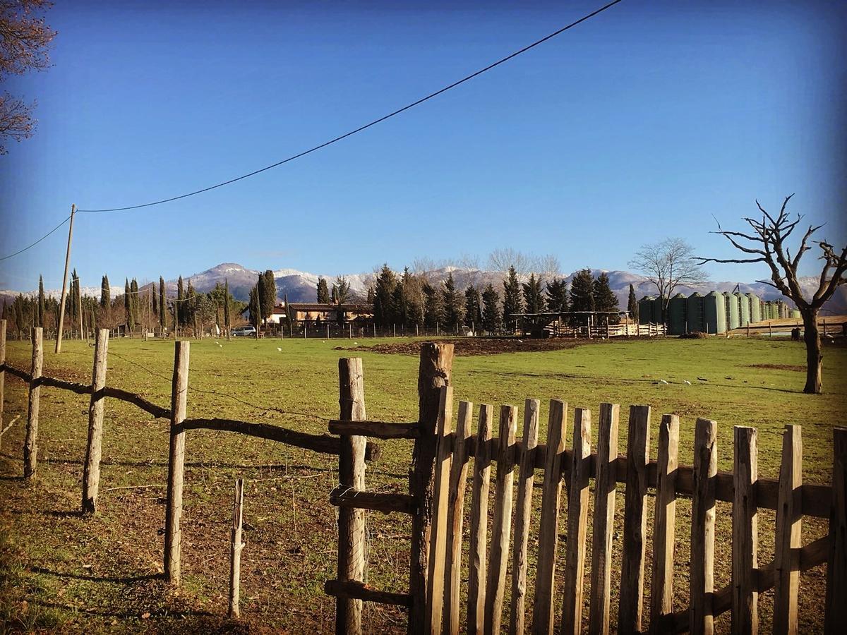 Agriturismo La Colombaia Villa Vicchio Eksteriør billede