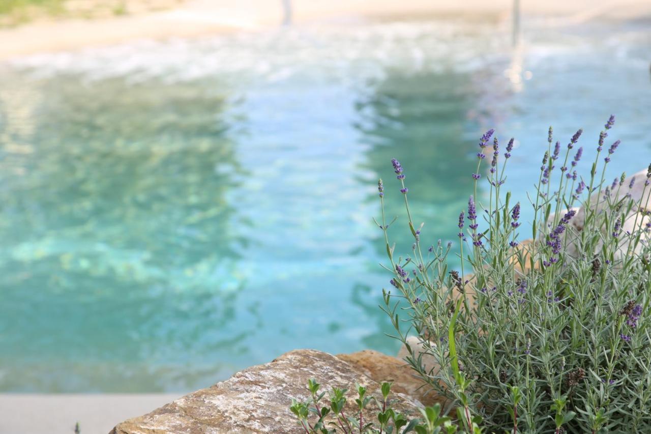 Agriturismo La Colombaia Villa Vicchio Eksteriør billede