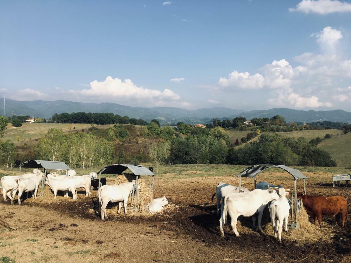 Agriturismo La Colombaia Villa Vicchio Eksteriør billede